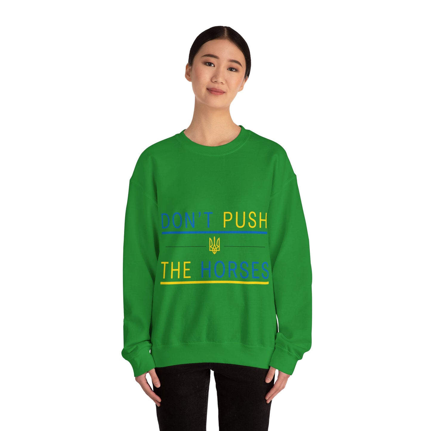 Sweatshirt Don't Push The Horses | DPTH
