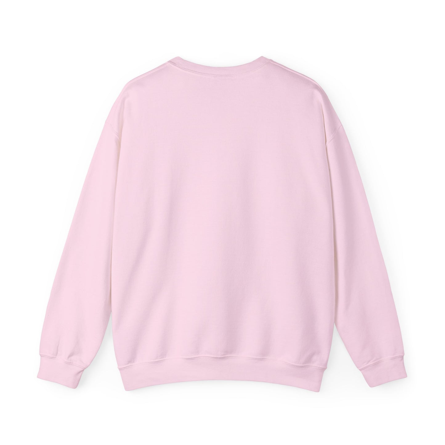 Sweatshirt Don't Push The Horses | DPTH
