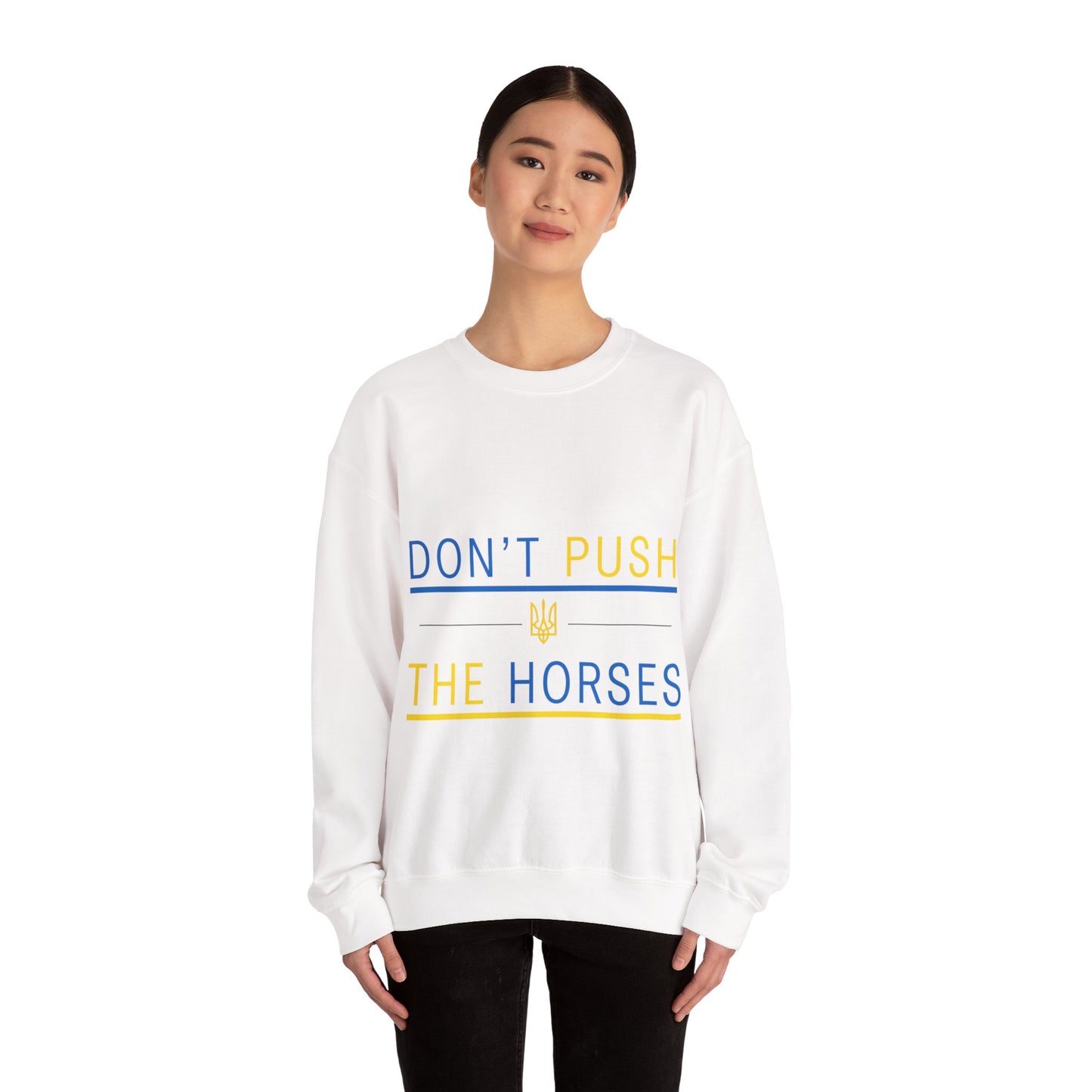 Sweatshirt Don't Push The Horses | DPTH