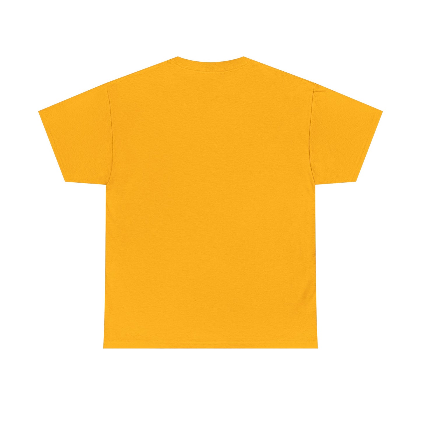 Heavy Cotton Tee Don't Push The Horses | DPTH