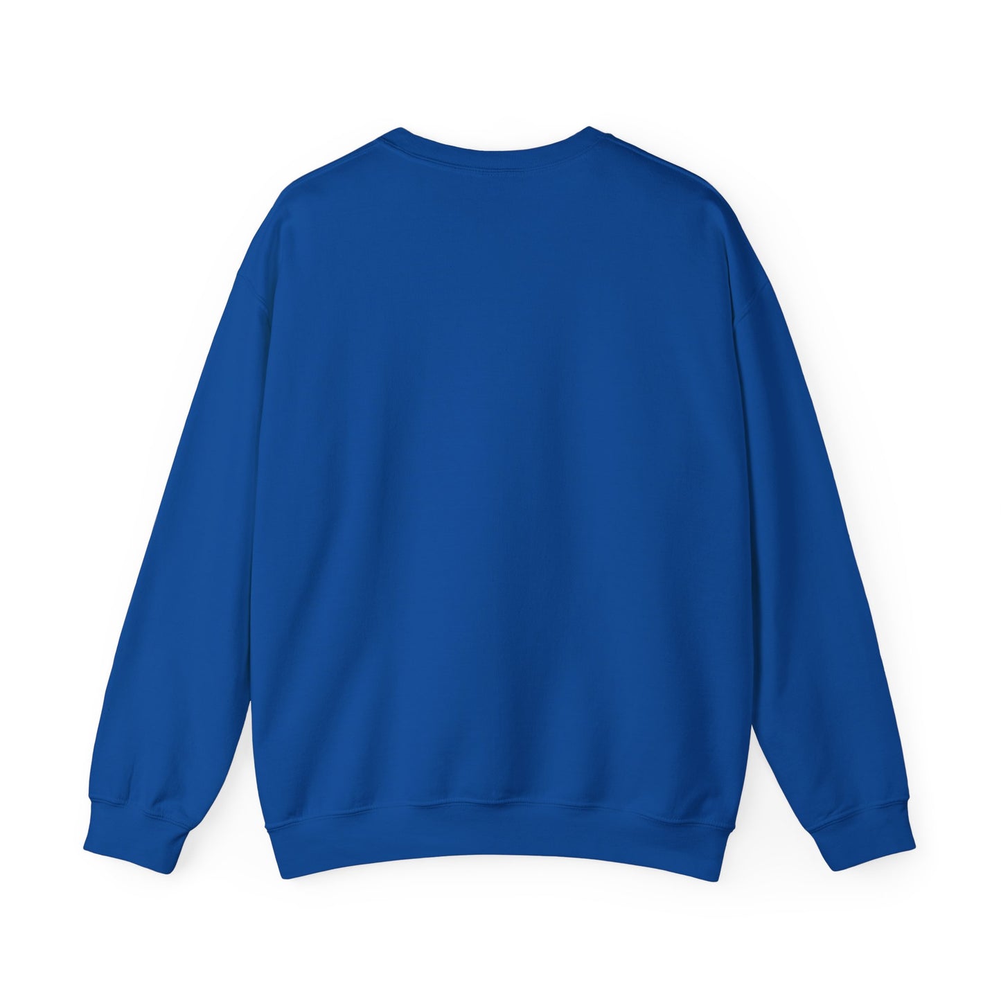 Sweatshirt Don't Push The Horses | DPTH