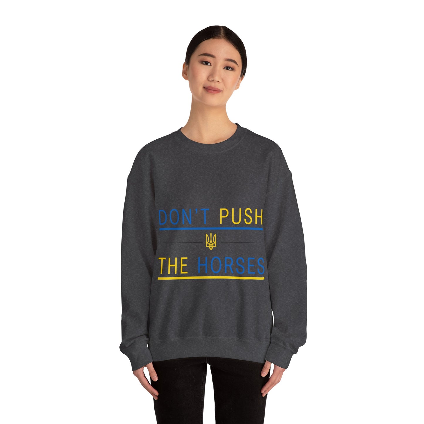 Sweatshirt Don't Push The Horses | DPTH