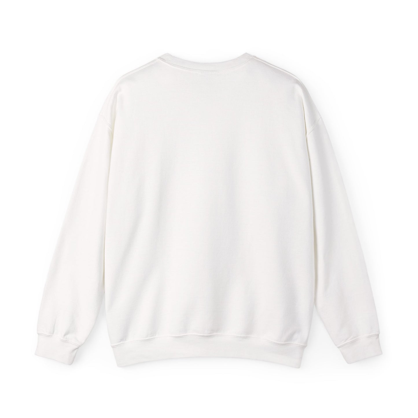 Sweatshirt Don't Push The Horses | DPTH