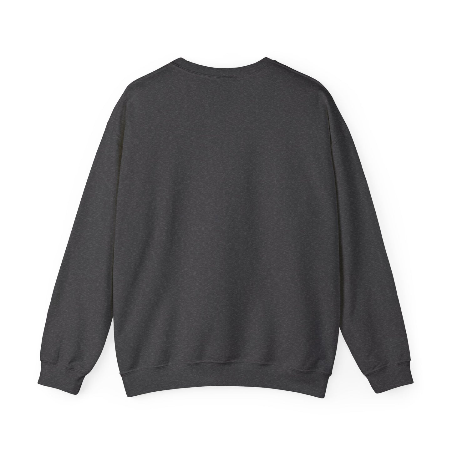 Sweatshirt Don't Push The Horses | DPTH