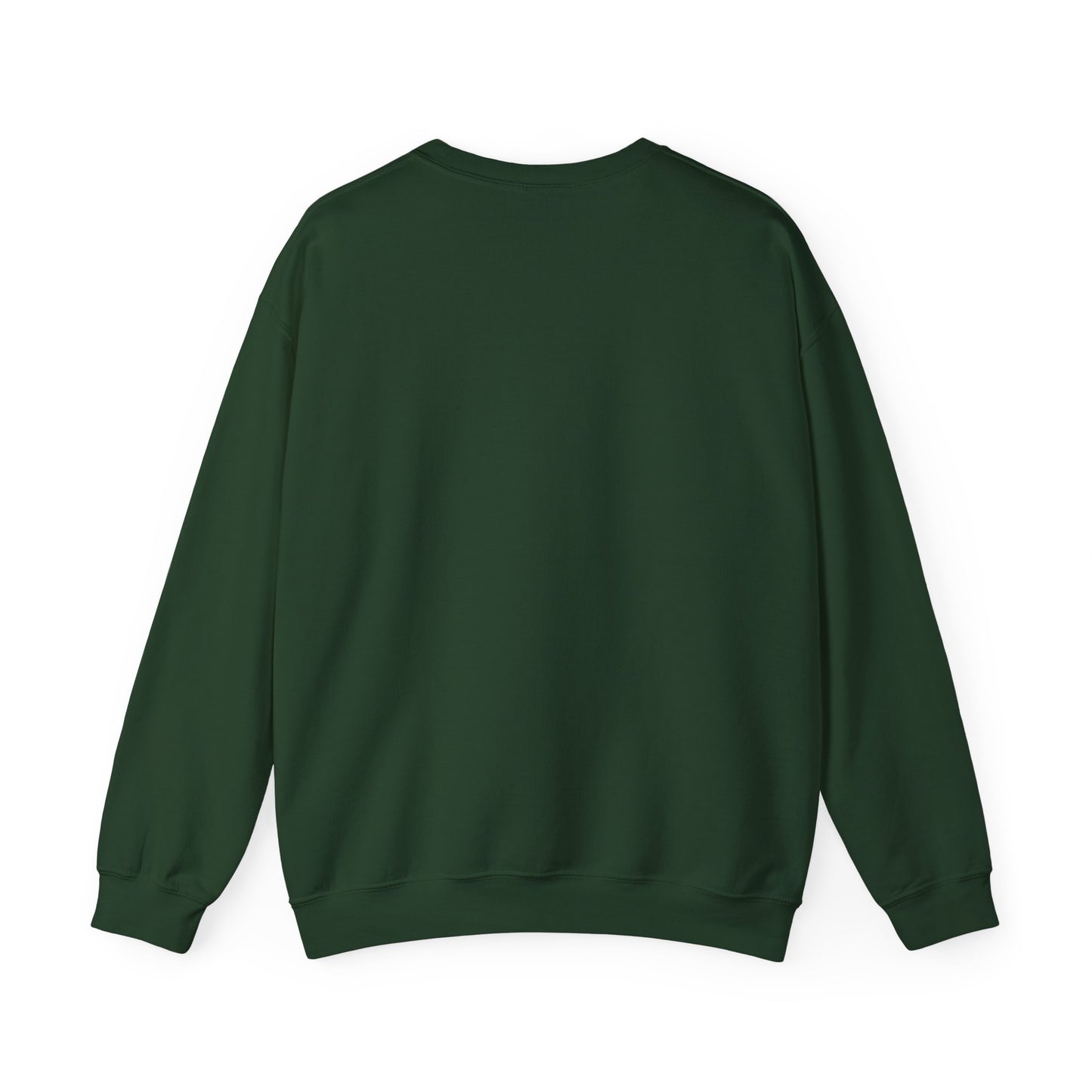 Sweatshirt Don't Push The Horses | DPTH