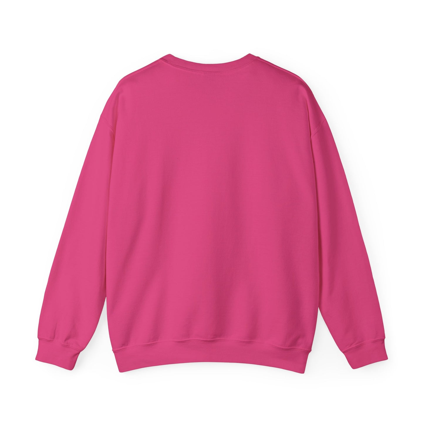 Sweatshirt Don't Push The Horses | DPTH
