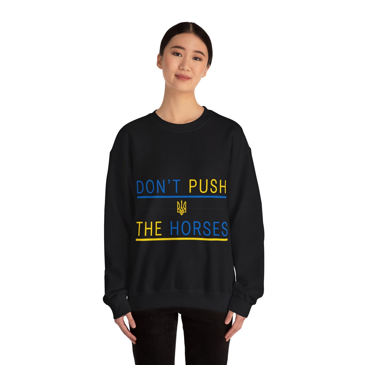 Sweatshirt Don't Push The Horses | DPTH