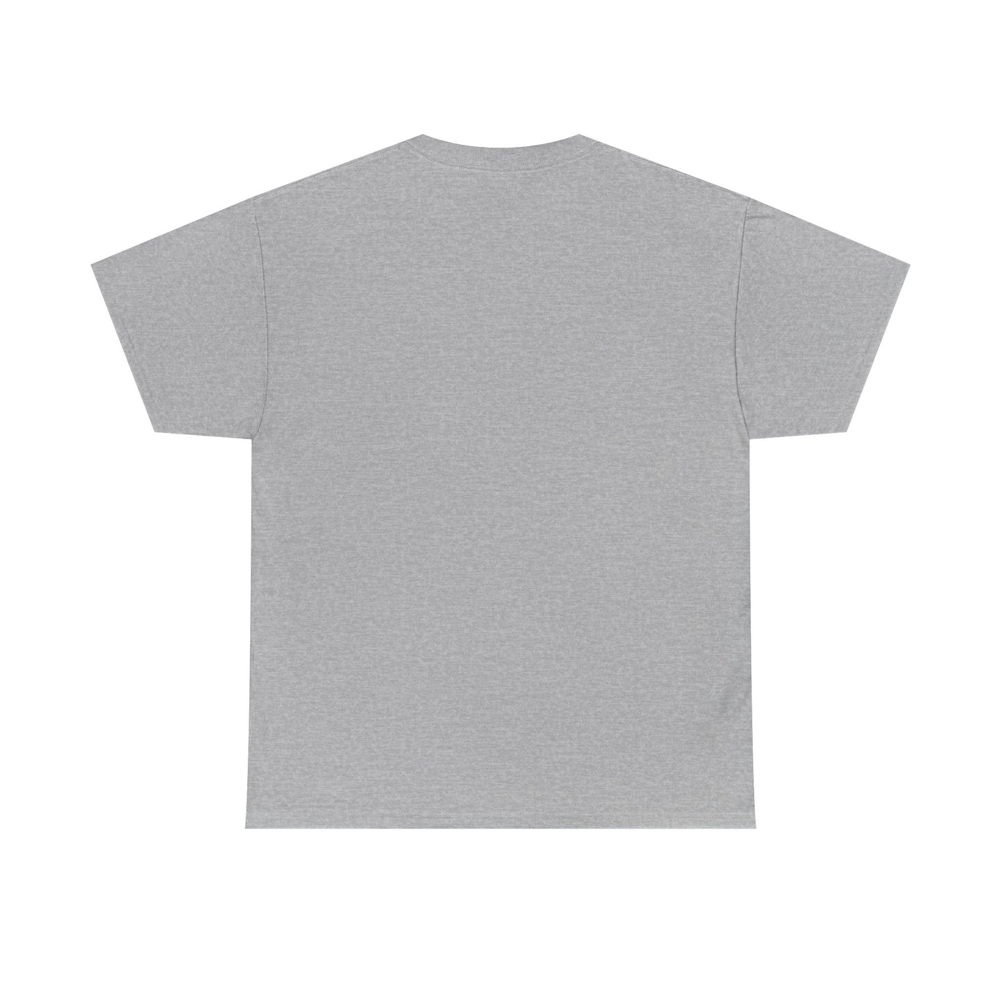 Heavy Cotton Tee Don't Push The Horses | DPTH