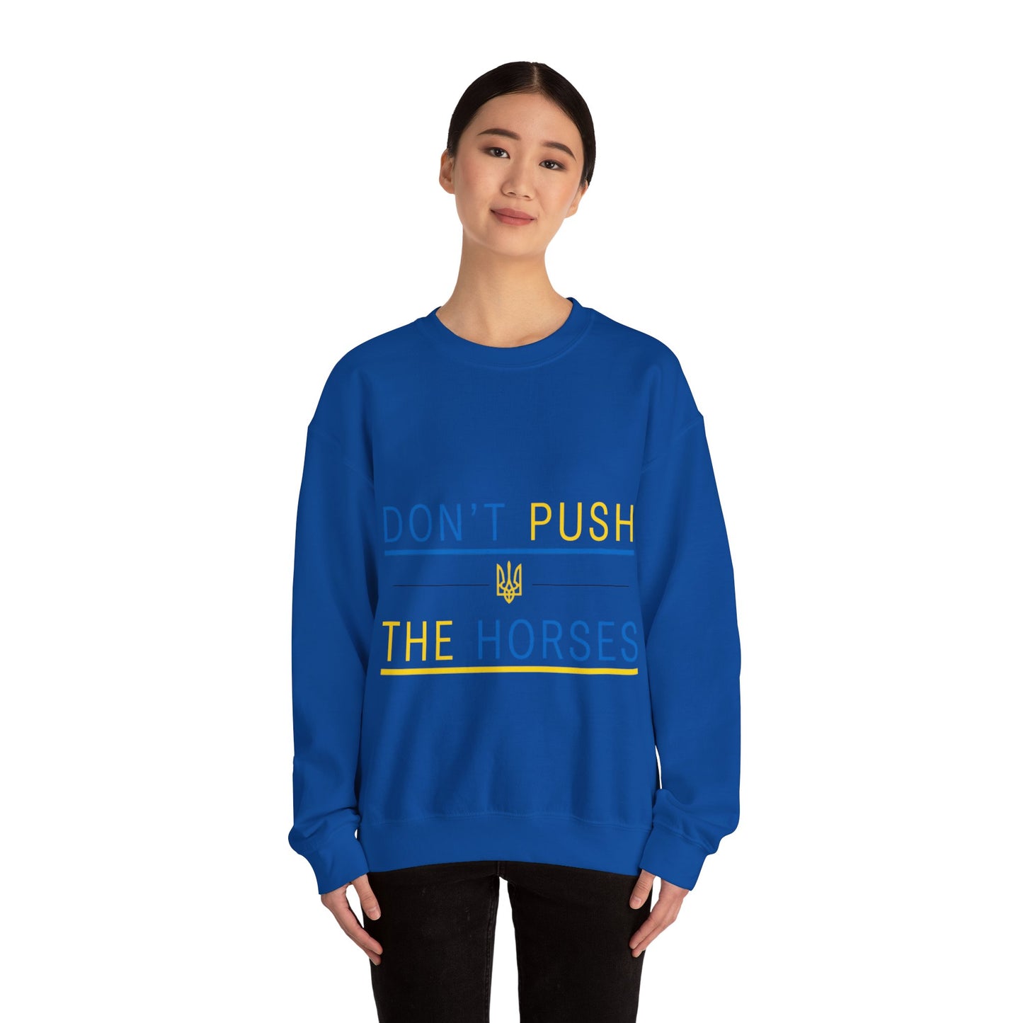 Sweatshirt Don't Push The Horses | DPTH