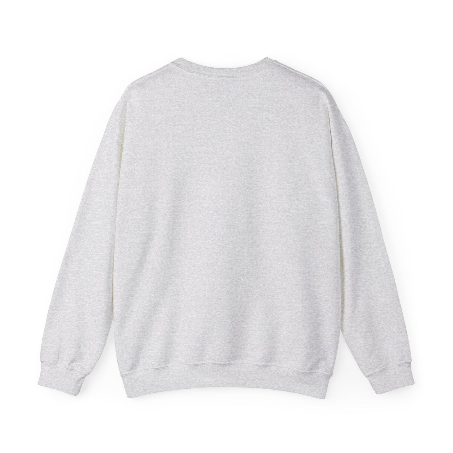 Sweatshirt Don't Push The Horses | DPTH