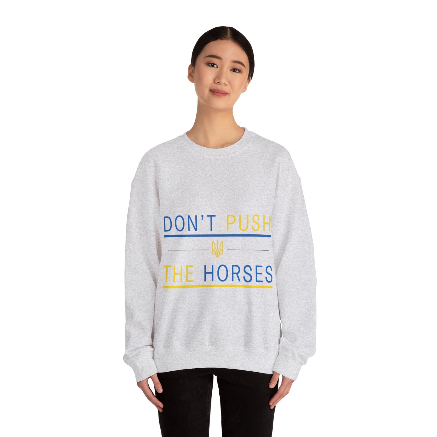 Sweatshirt Don't Push The Horses | DPTH