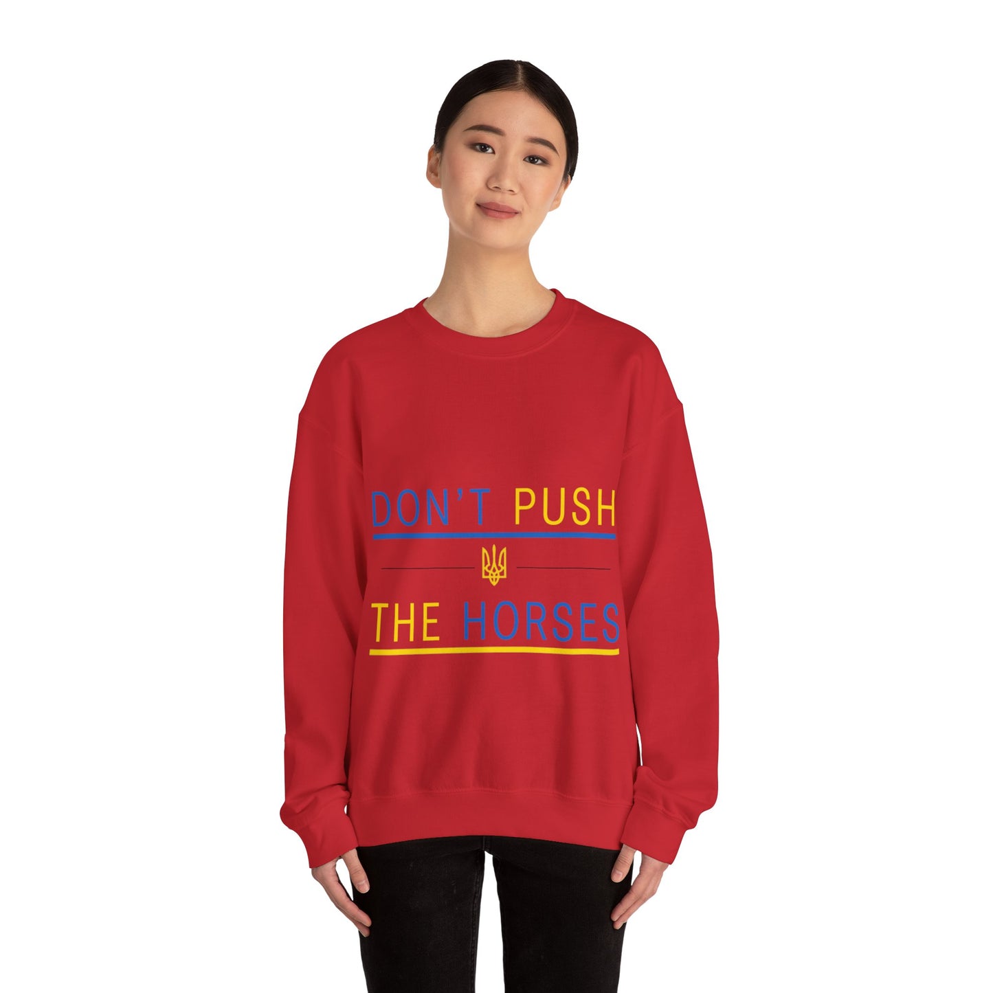 Sweatshirt Don't Push The Horses | DPTH