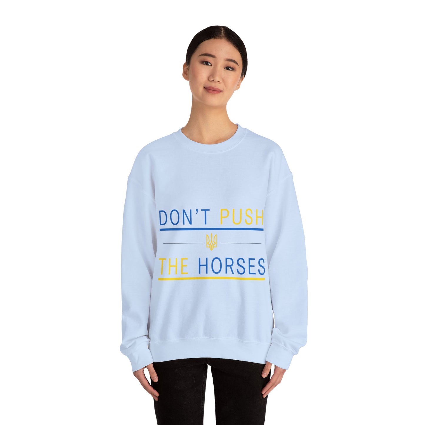 Sweatshirt Don't Push The Horses | DPTH