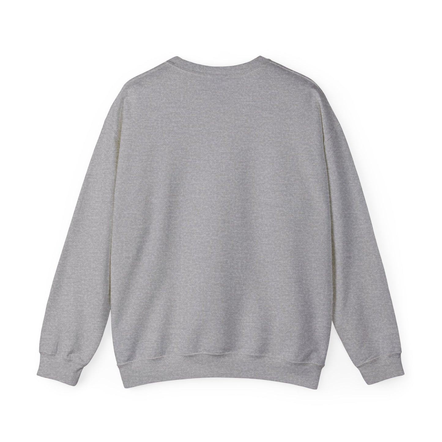 Sweatshirt Don't Push The Horses | DPTH