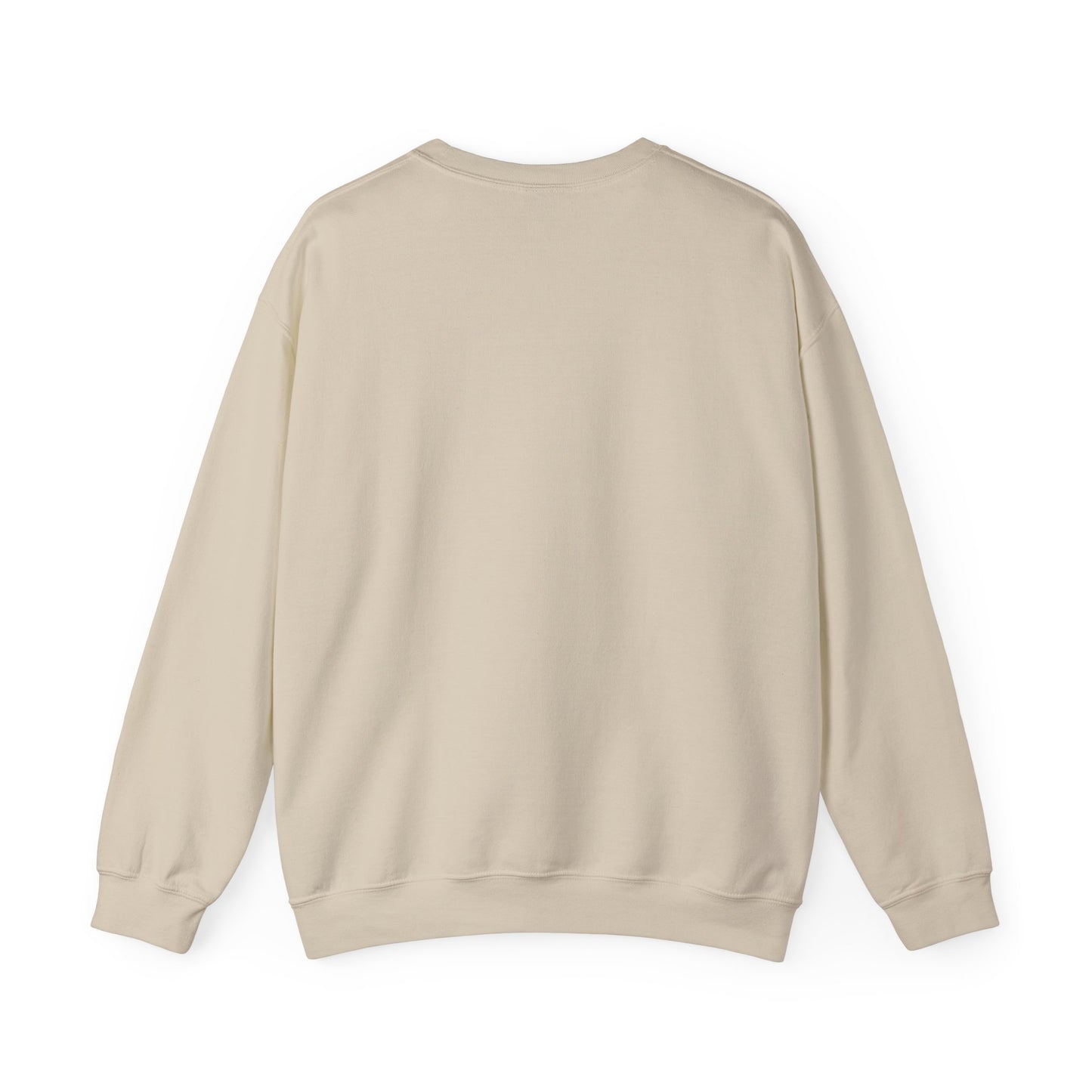 Sweatshirt Don't Push The Horses | DPTH