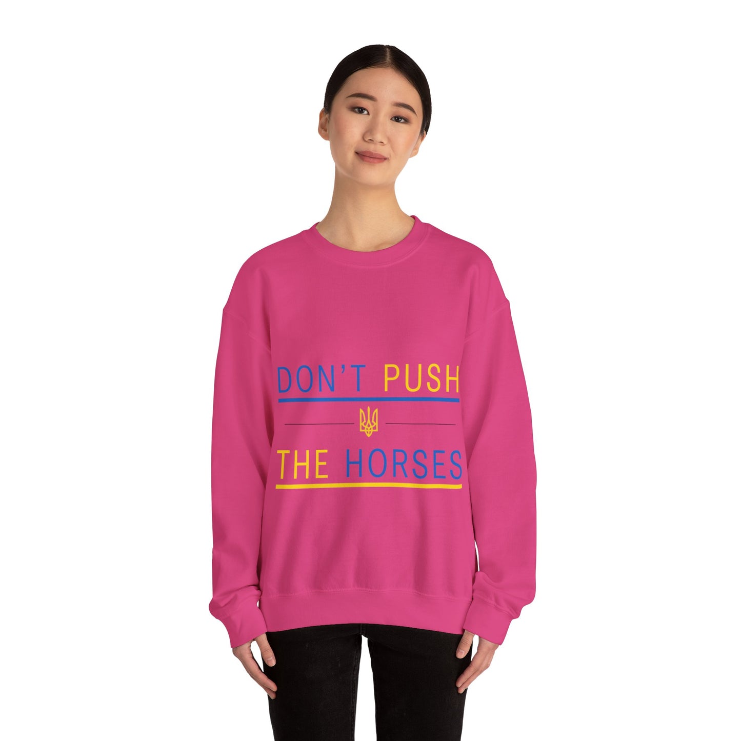 Sweatshirt Don't Push The Horses | DPTH