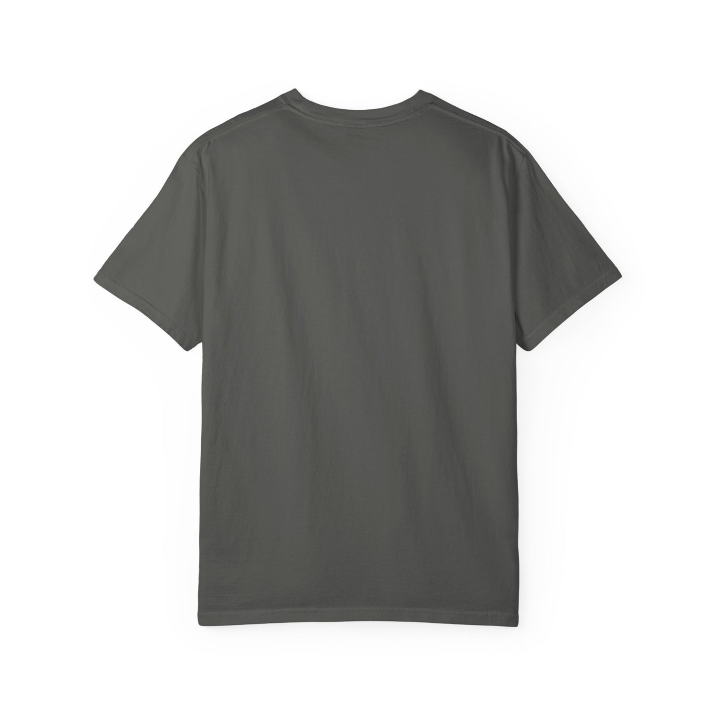 Unisex T-Shirt Don't Push The Horses | DPTH