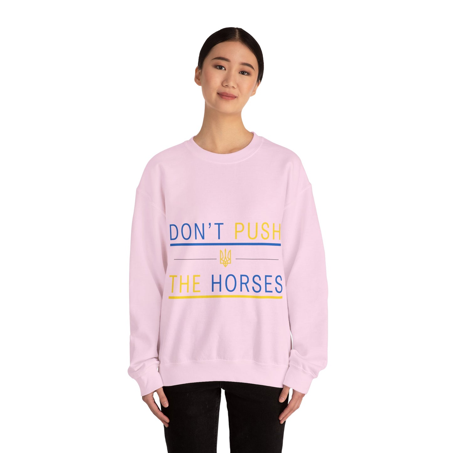 Sweatshirt Don't Push The Horses | DPTH