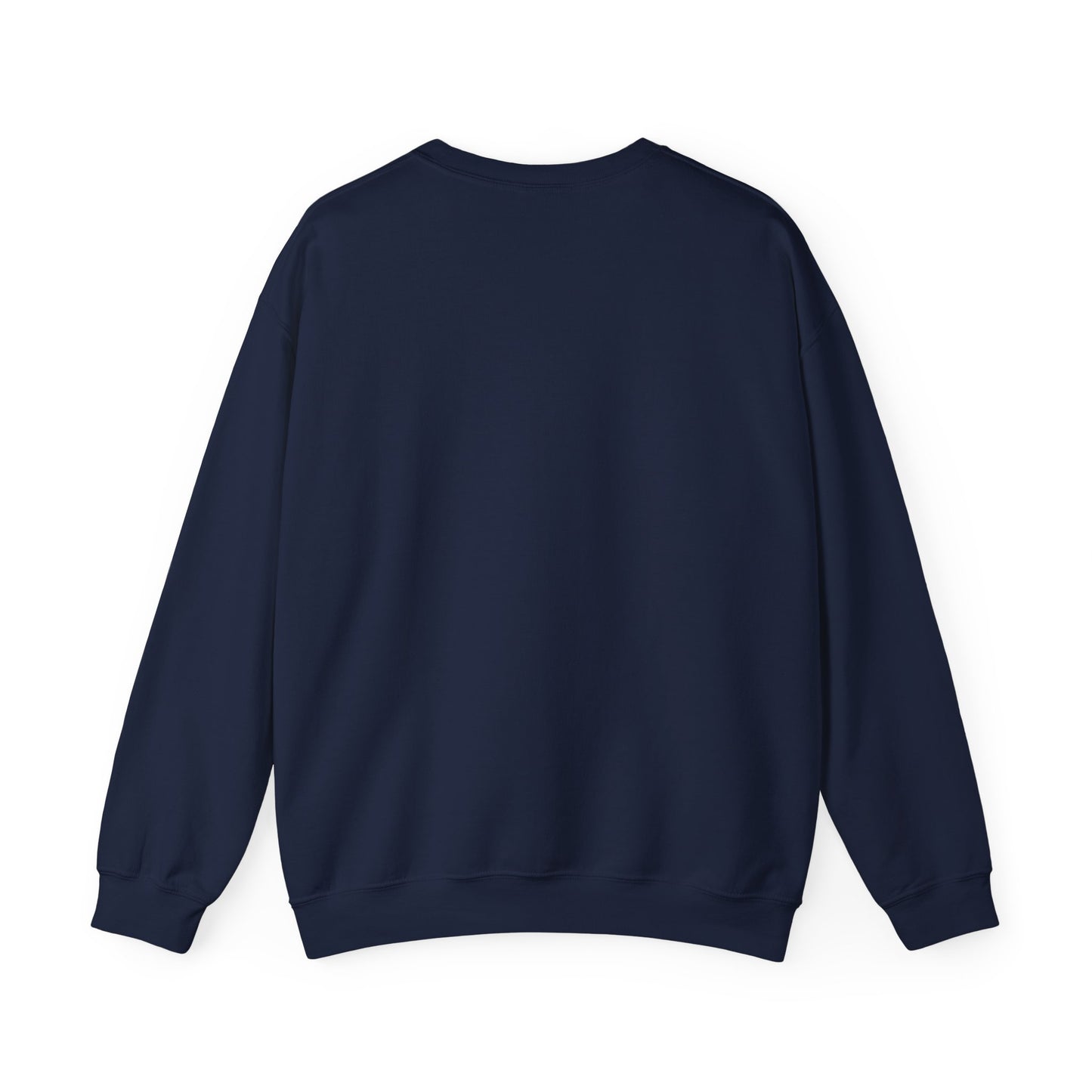 Sweatshirt Don't Push The Horses | DPTH