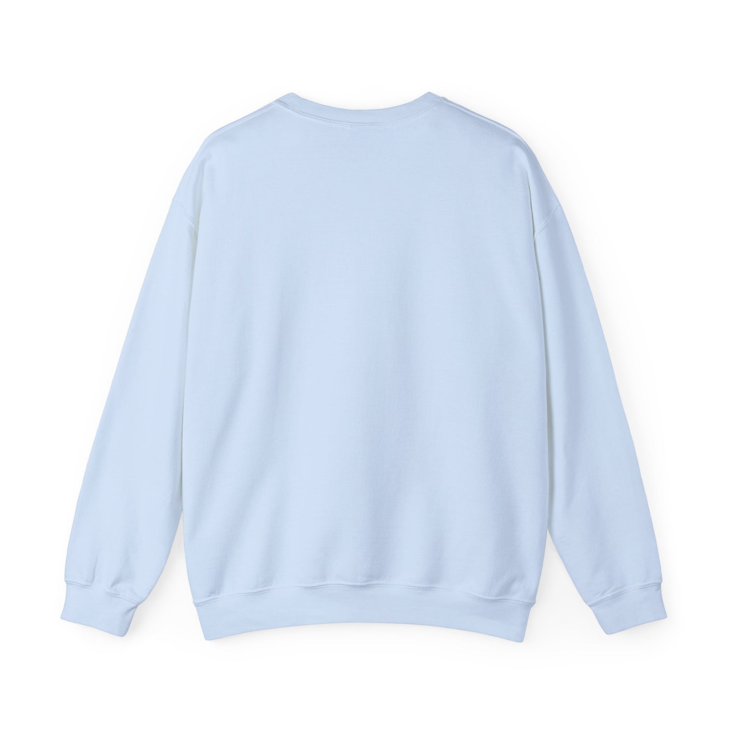 Sweatshirt Don't Push The Horses | DPTH