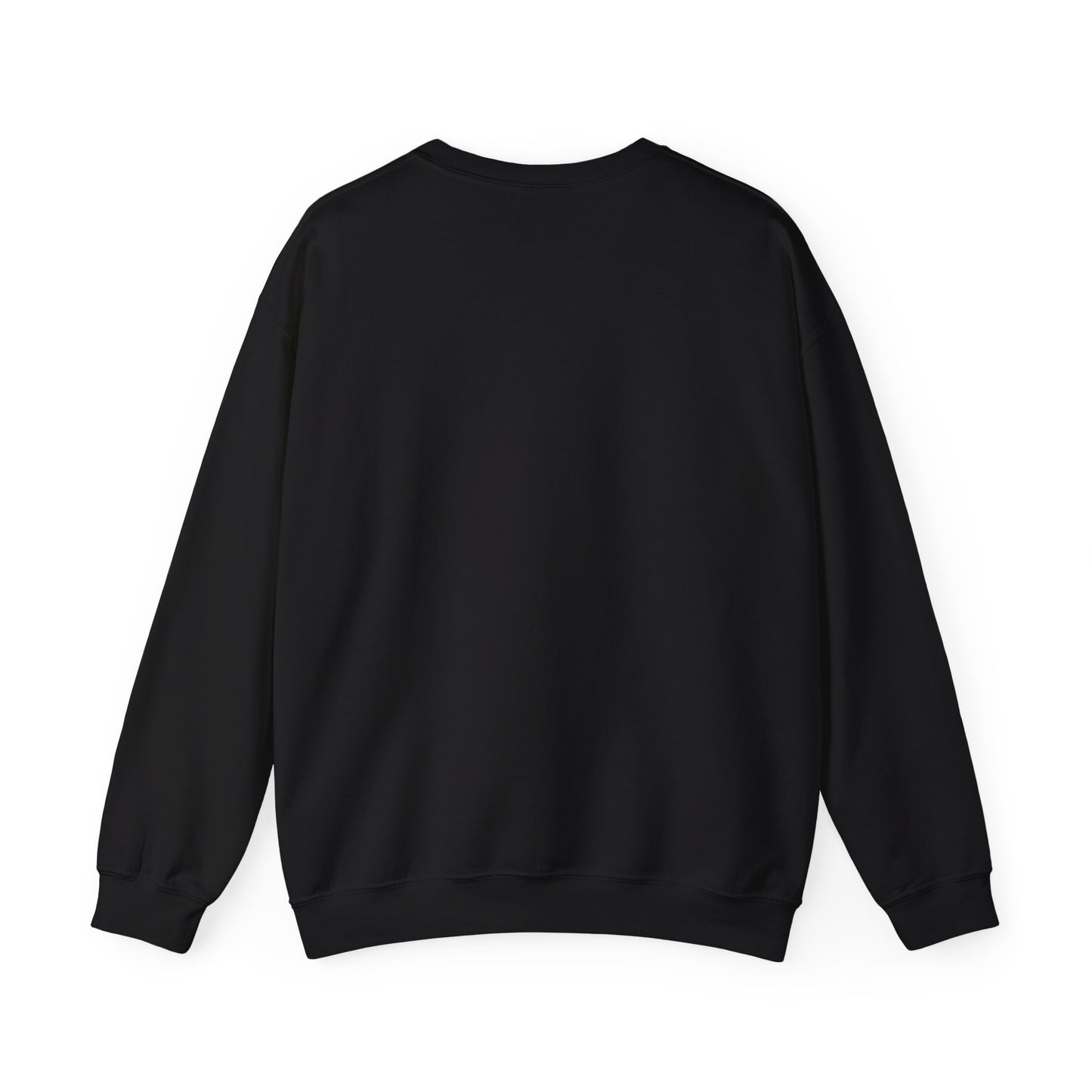 Sweatshirt Don't Push The Horses | DPTH
