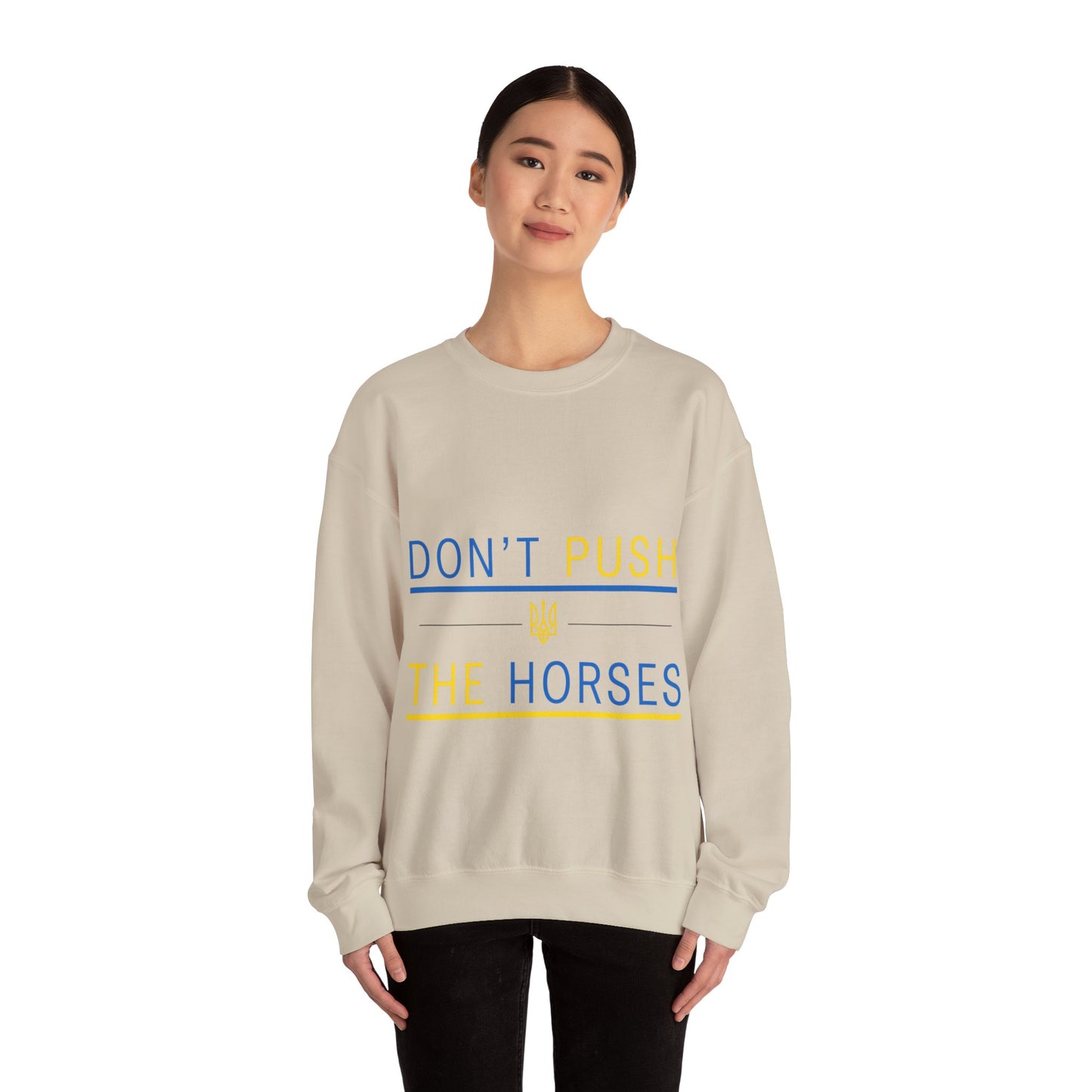 Sweatshirt Don't Push The Horses | DPTH