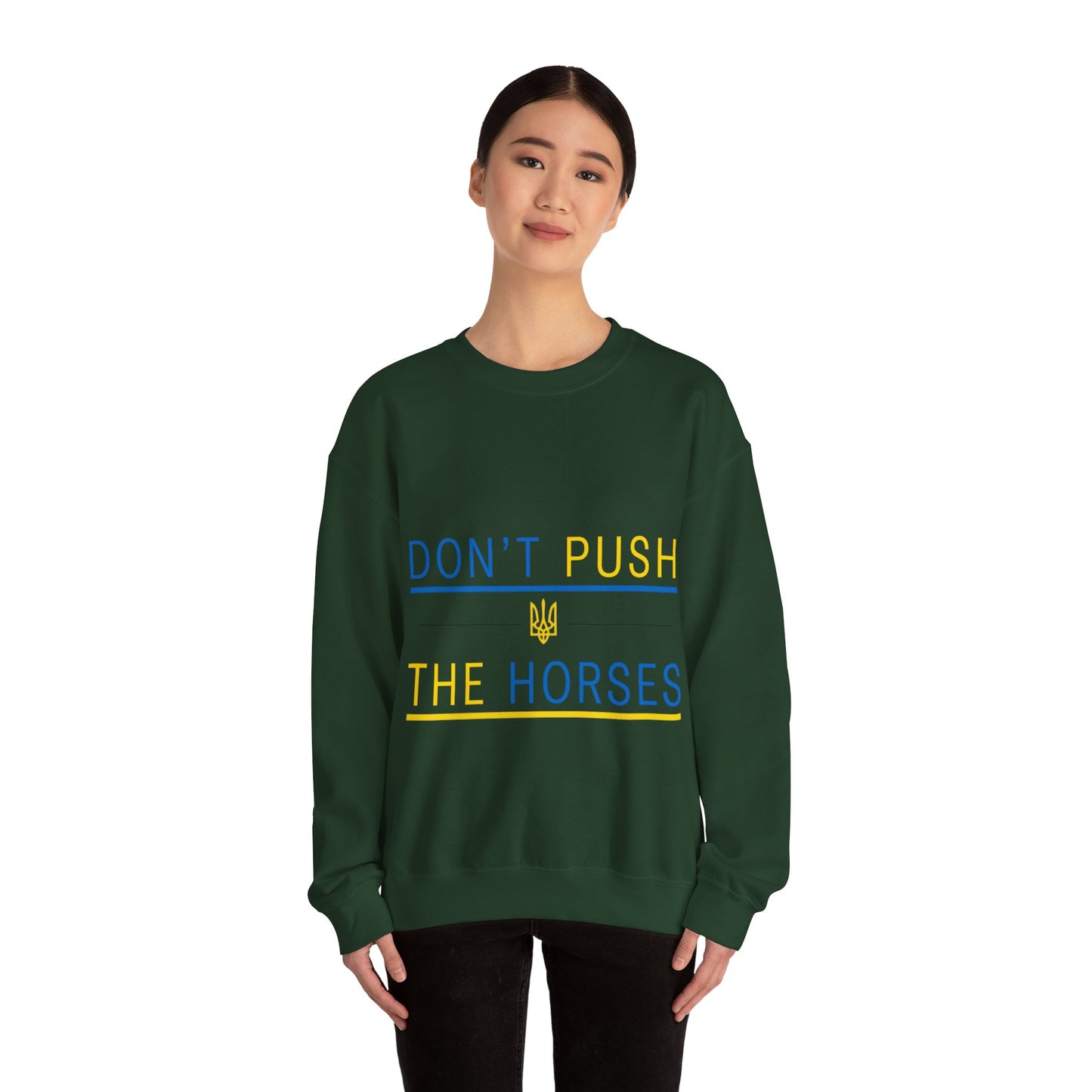 Sweatshirt Don't Push The Horses | DPTH