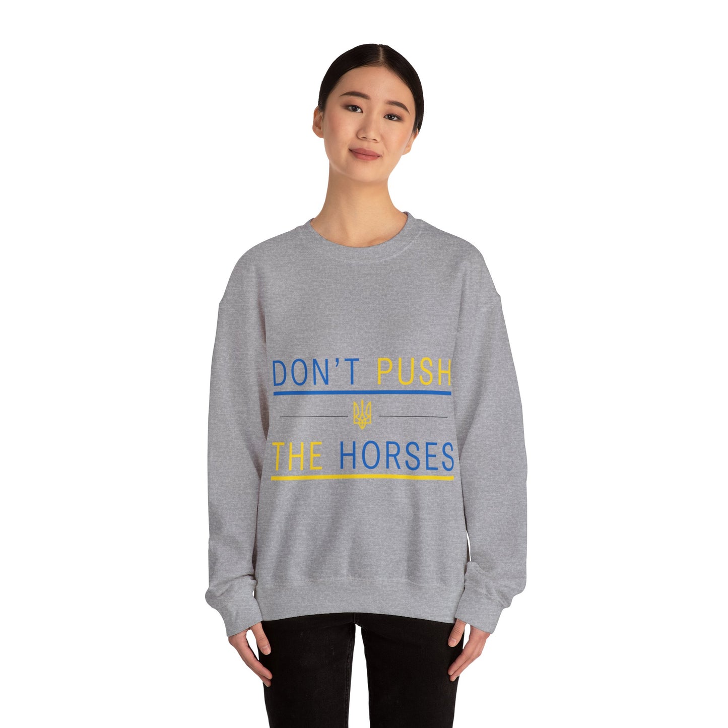 Sweatshirt Don't Push The Horses | DPTH