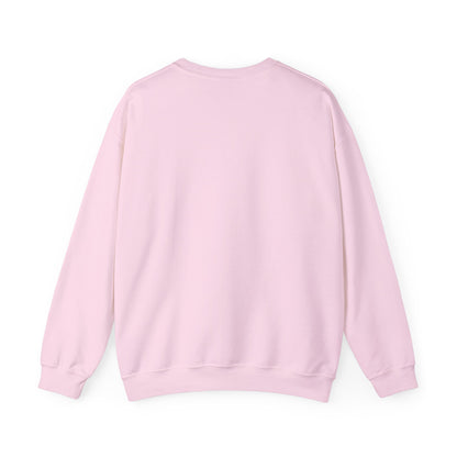 Sweatshirt Don't Push The Horses | DPTH