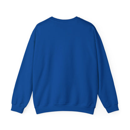 Sweatshirt Don't Push The Horses | DPTH