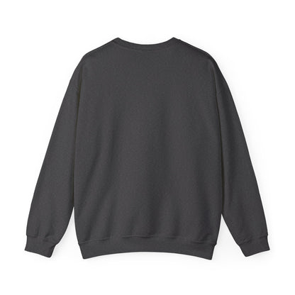 Sweatshirt Don't Push The Horses | DPTH