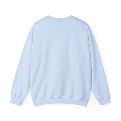 Sweatshirt Don't Push The Horses | DPTH